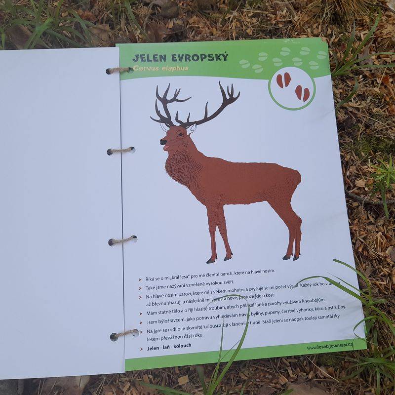 LESOpoznávačka zvířat - edukativní pomůcky