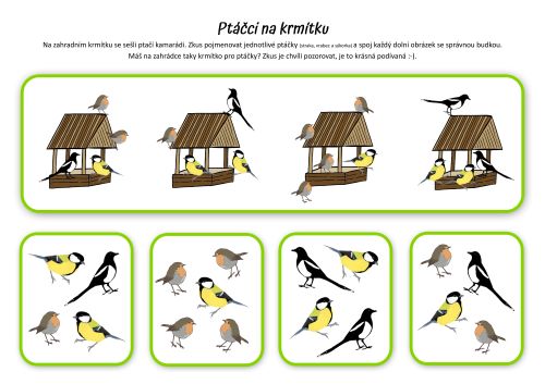 zmenšené_ptaccivkrmitku